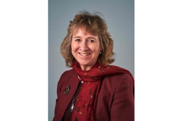 Cllr Ann Saffery